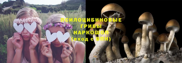 дживик Вяземский