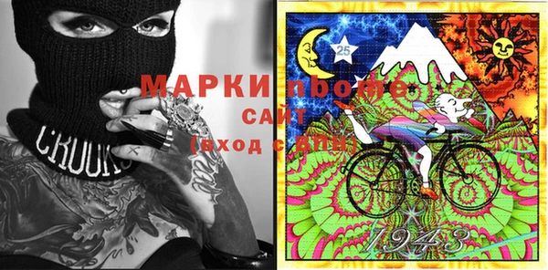 сатива Вязьма