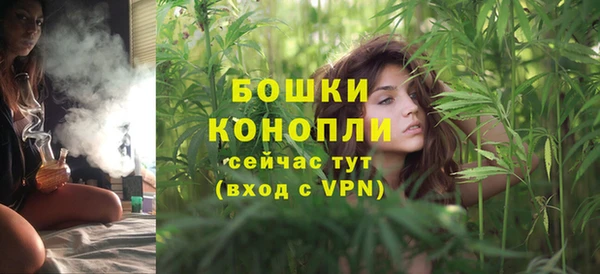 сатива Вязьма