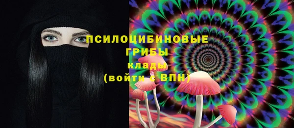 сатива Вязьма